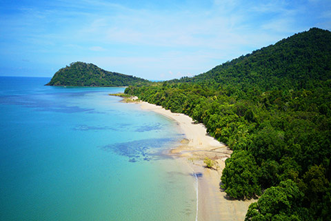 Port Douglas Daintree Rainforest Day Tours