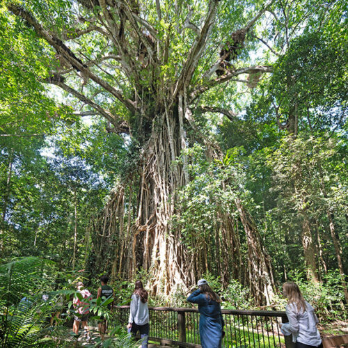 Map image for Atherton Tablelands