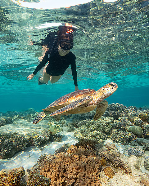 Cape Tribulation Tours