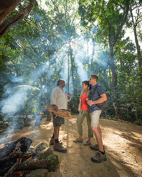 Port Douglas Daintree Rainforest Day Tours